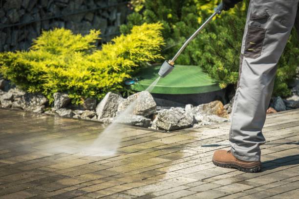 Best Solar Panel Cleaning  in Bayonet Point, FL